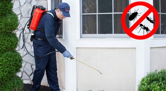 Tufanbeyli Gümüşkurt İlaçlama böcek ilaçlama ve haşere kontrolü — ilaclama-tr.com